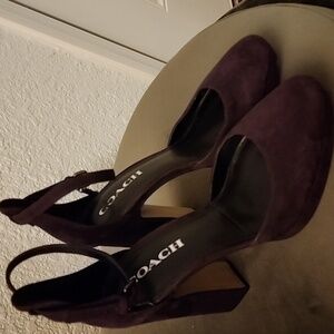 Coach Chrystie suede closed toe platform pumps